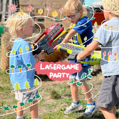 Playground and Laser Tag party