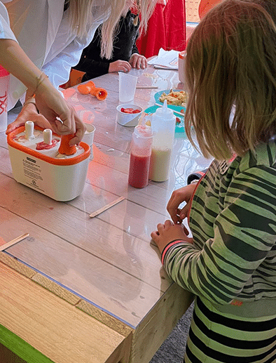 IJS professor in een dag